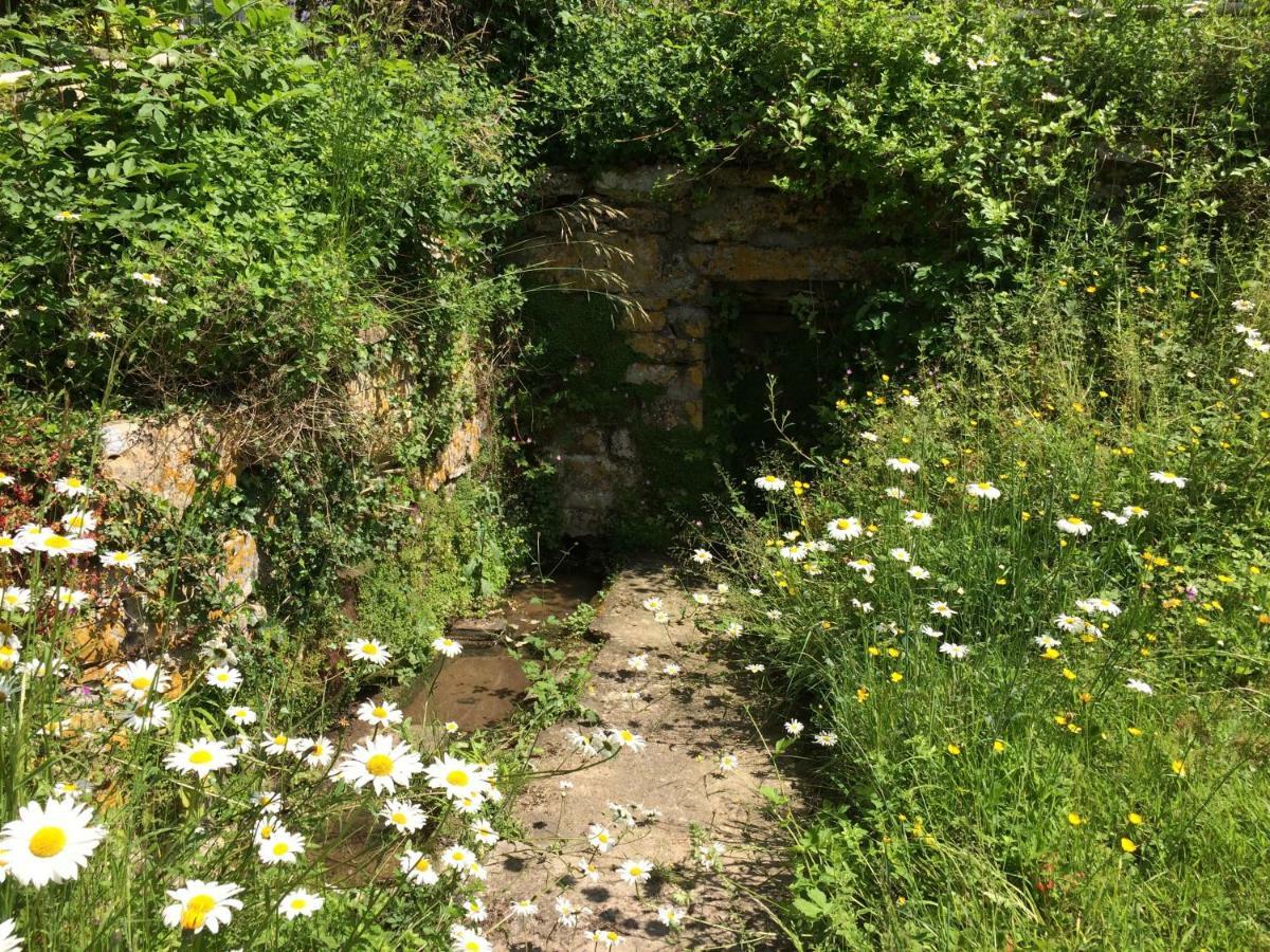 Yew Tree Cottage Bath Esterno foto